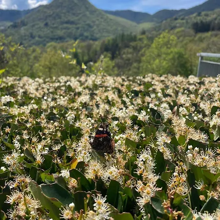 アパート La Terrazza Sui Monti カスティリオーネ・ディンテルヴィ